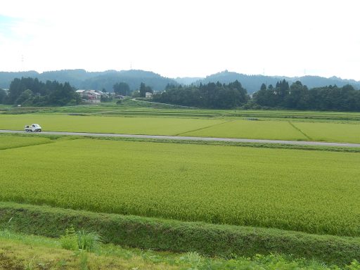 だいたいてきすと